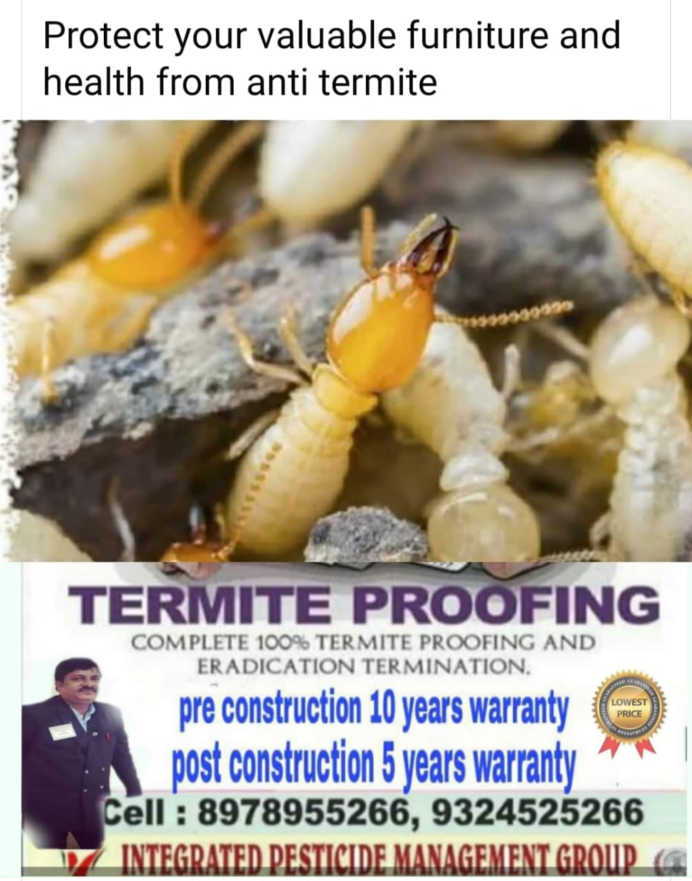 Anti-termite